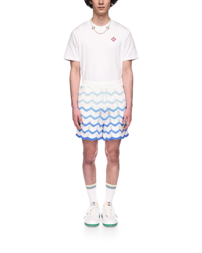 Short en crochet à dégradé ondulé