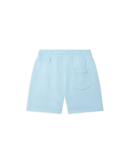 Shorts en molleton bleu Coachella Valley